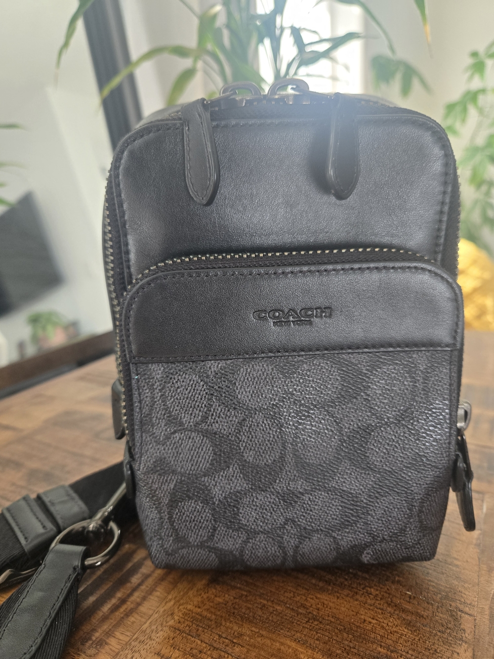 Coach Signature Small Crossbody Bag in Black